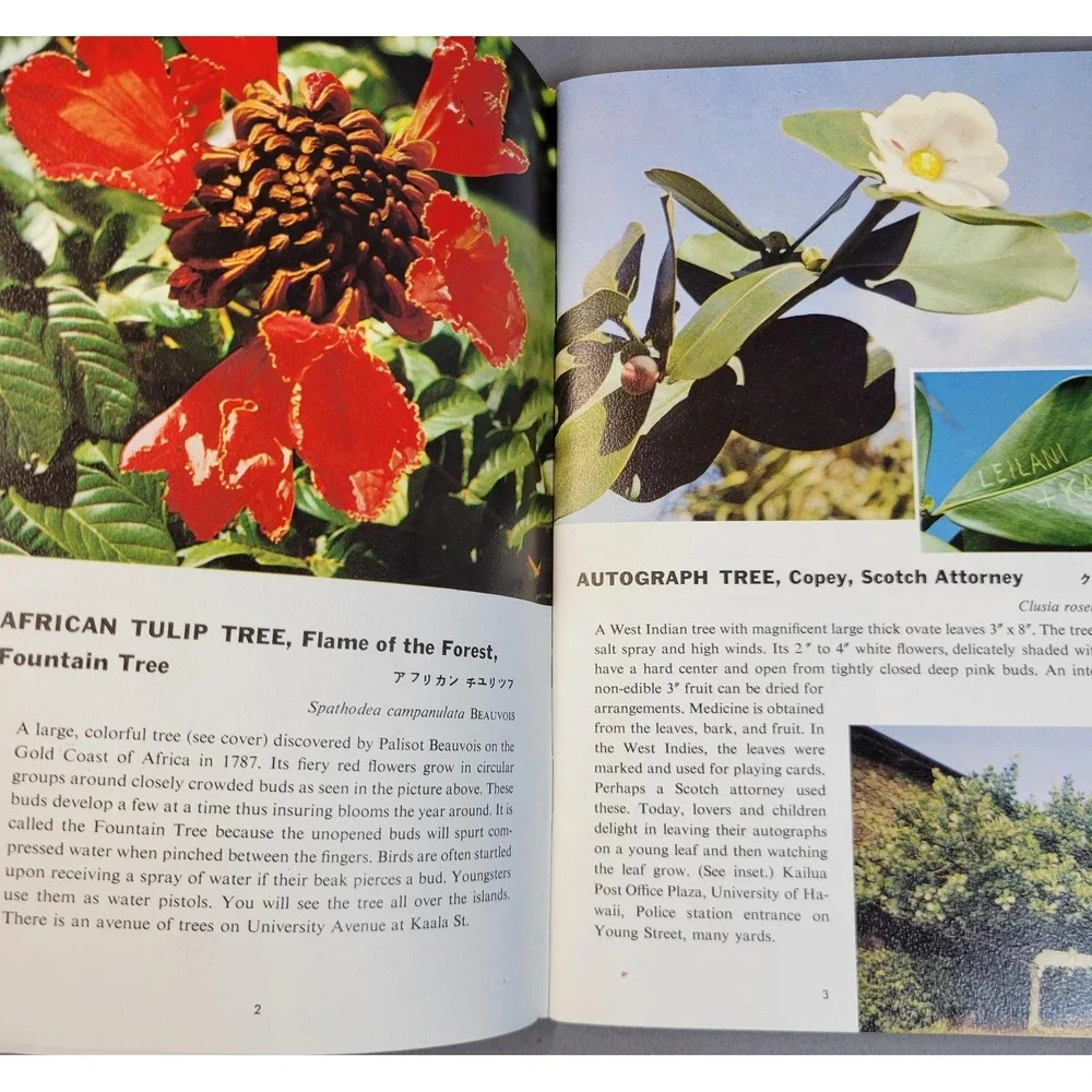 Tropical Trees of Hawaii Dorothy & Bob Hargreaves Paperback 130+ Color Photos
